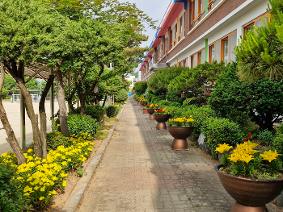 2025년 6월 학교 풍경