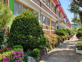 2025년 학교 봄 풍경